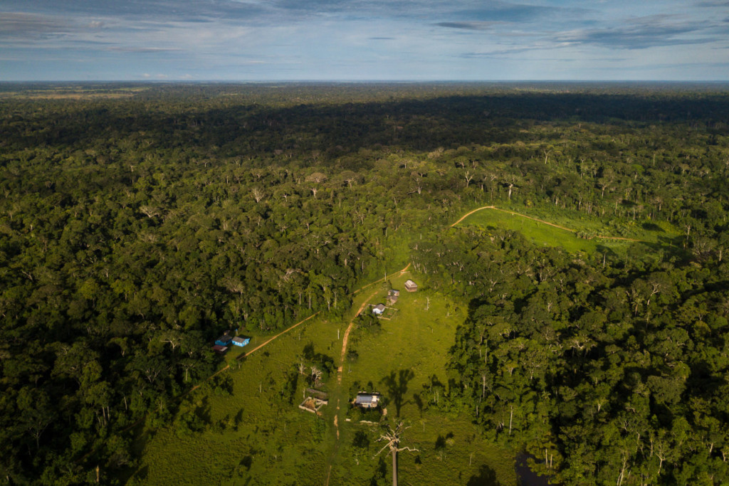Na reserva Chico Mendes, no Acre, um retrato da destruição da Amazônia